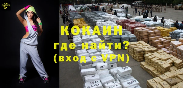 шишки Вязьма