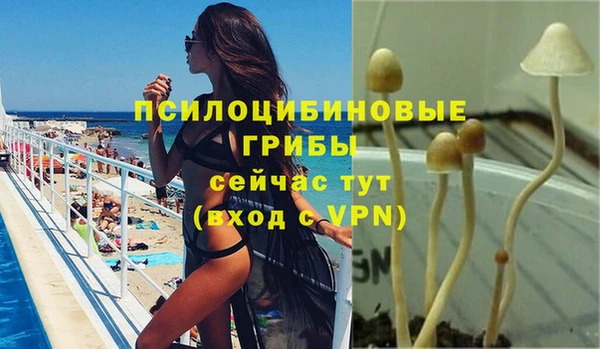 трава Вязники