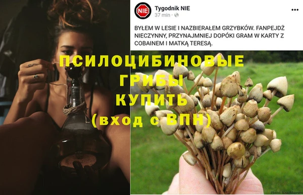 стафф Вяземский