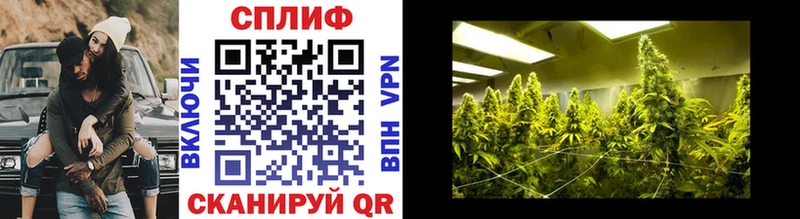 Каннабис OG Kush Шахты